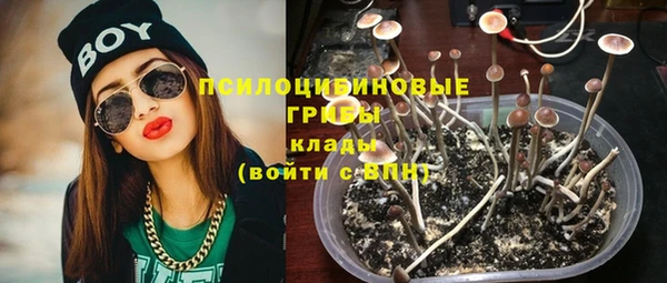 МДПВ Инта