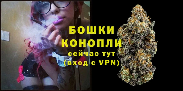 МДПВ Инта